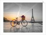Bicycle and Eiffel tower by Assaf Frank